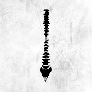 小说黑鬼留学生住进我家小说
