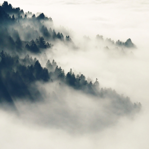 小说黑鬼留学生住进我家小说
